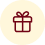 extra icon