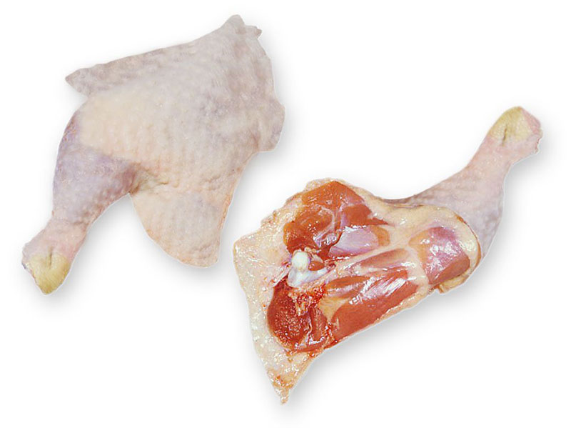 CHICKEN   Halal Chicken Leg And Thigh Ground