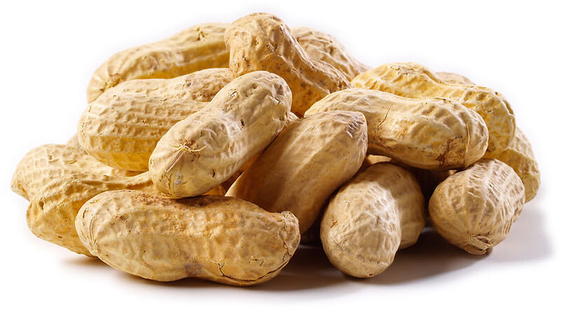 PEANUTS   FRESH PEANUTS