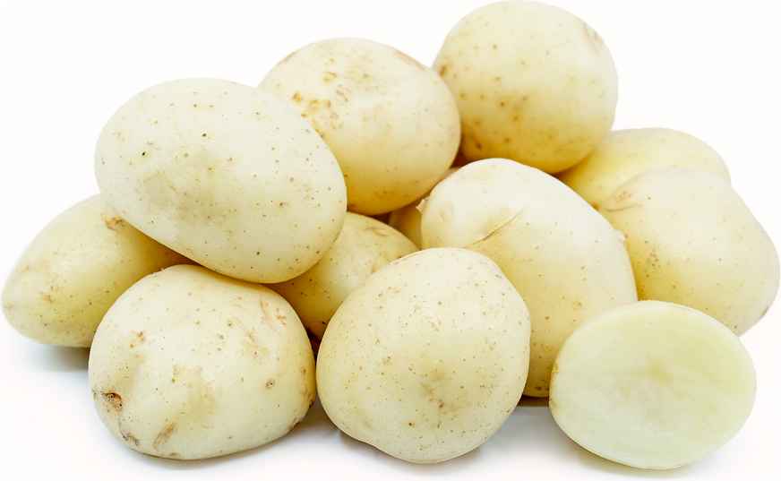 POTATO WHITE