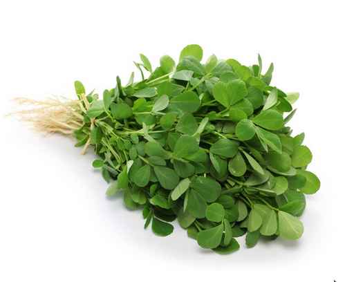 FRESH METHI