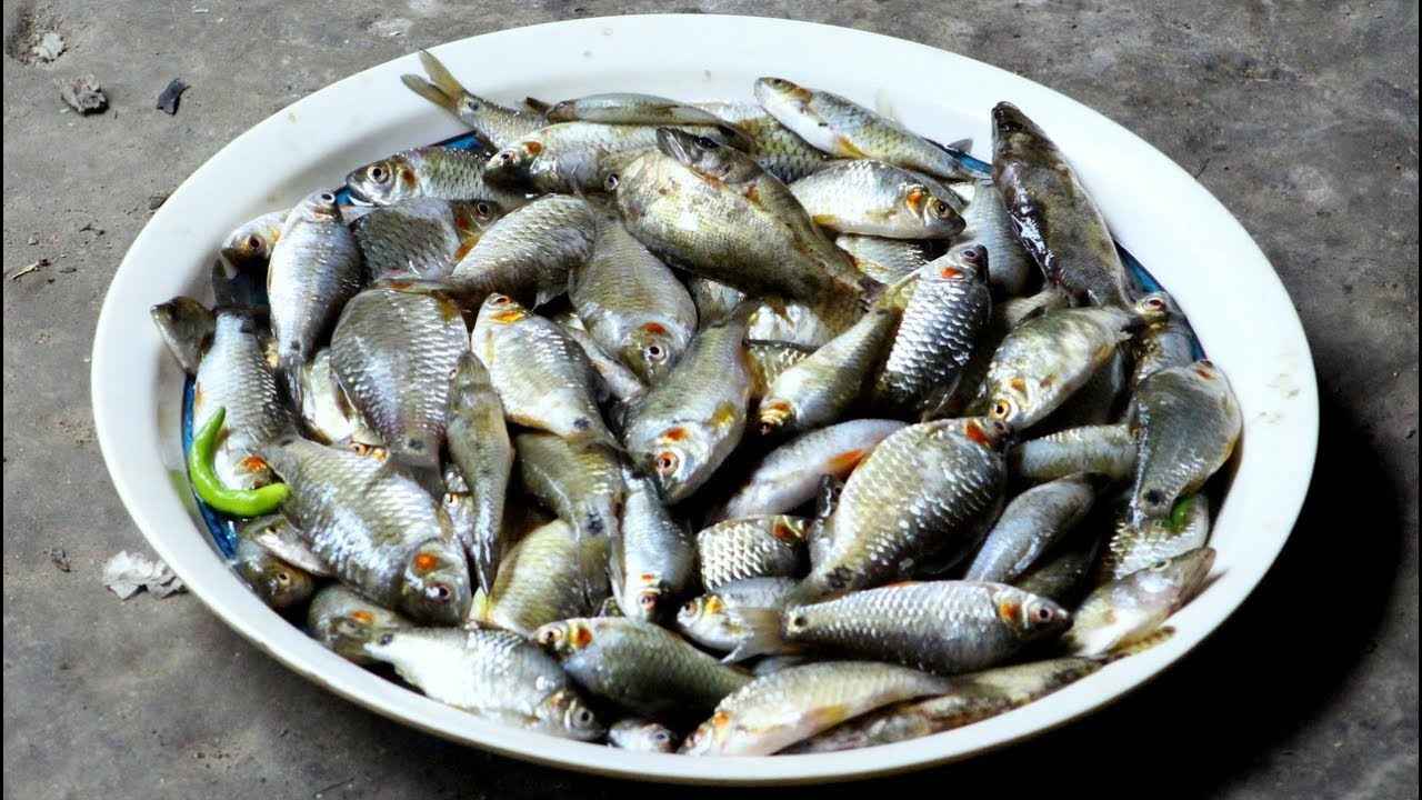 DESI PUTTI
