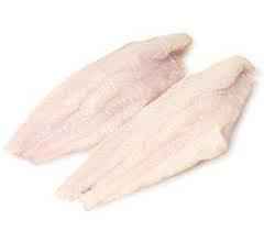 Fish Catfish