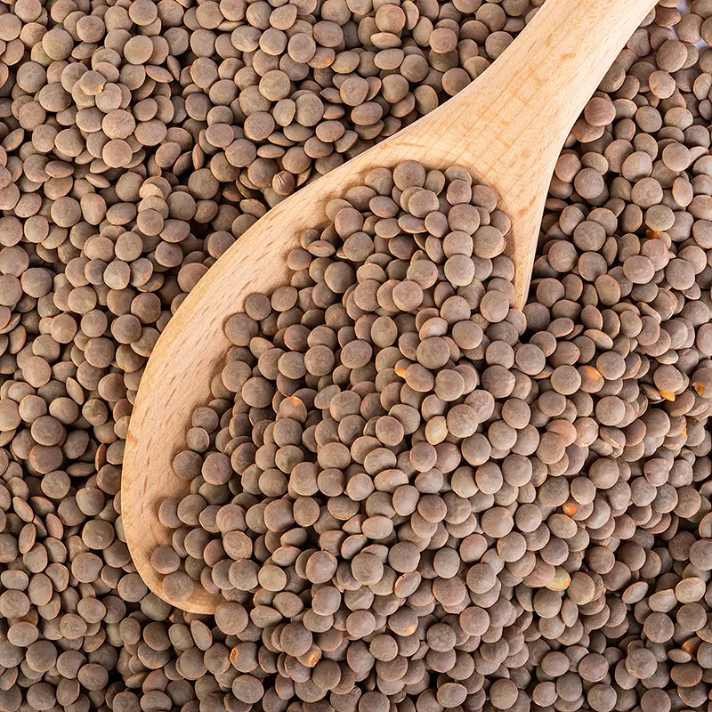 Bansi Masoor Whole (Whole Red Lentil) Brown