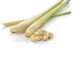 LEMON GRASS