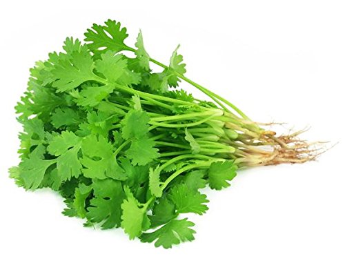Cilantro  1 BUNCH