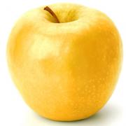 APPLE GOLDEN DELICIOUS (apples)
