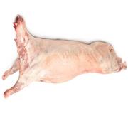 Halal 1/2 Baby Lamb