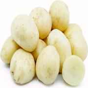 POTATO WHITE