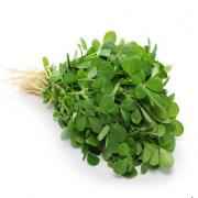 FRESH METHI