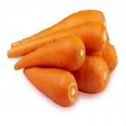 Carrot