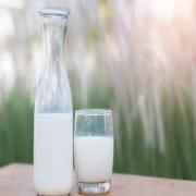 Hori Orga Homo Milk