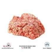 Zabiha Halal Lamb Brain (Winter Sale)